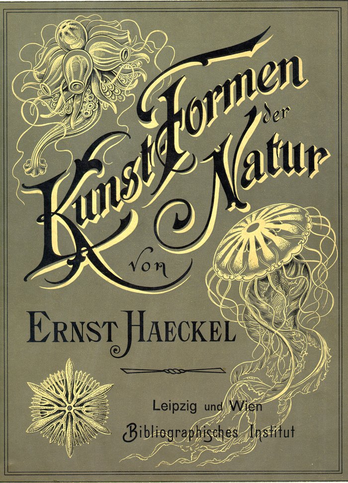 Cover of Ernst Haeckel's Kunstformen der Natur, 1904